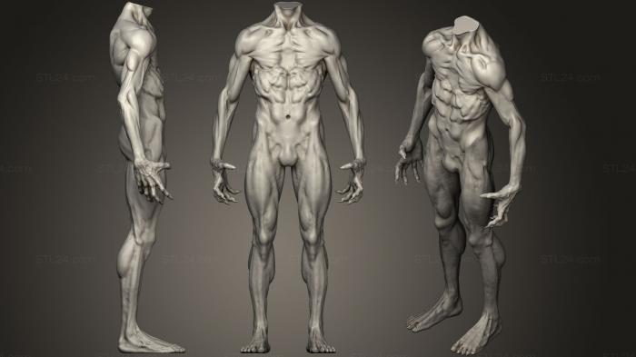 Анатомия скелеты и черепа (Скульптура тела 85, ANTM_0313) 3D модель для ЧПУ станка